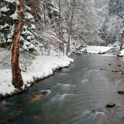 Kamenice